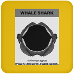 GR WHALE S J C