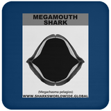 GR MEGAMOUTH J C