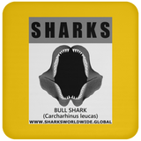 GR SRS J BULL SHARK C