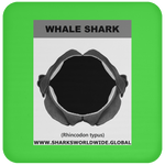 GR WHALE S J C