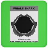 GR WHALE S J C