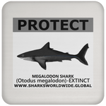PRS MEGALODON V2 C