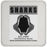 GR SRS J BULL SHARK C