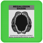 GR MEGALODON J C
