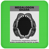 GR MEGALODON J C