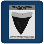 GR MEGALOLAM T C