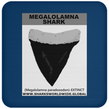 GR MEGALOLAM T C