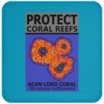PCRS ACAN C