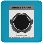 GR WHALE S J C