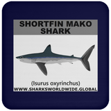 SSP SHORTFIN C