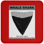 GR WHALE S T C