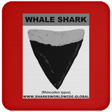 GR WHALE S T C