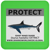 PRS GIANT MAKO V2 C