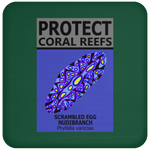 PCRS S EGG C