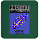 PCRS S EGG C
