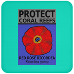 PCRS ROSE C