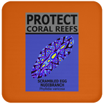 PCRS S EGG C