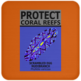 PCRS S EGG C