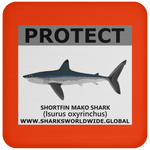 PRS SHORTFIN V2 C