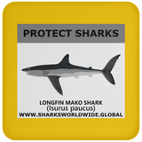 PRS LONGFIN V1 C