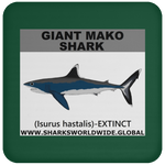 SSP GIANT MAKO C