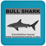 SSP BULL SHARK C