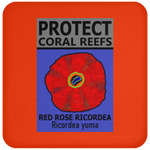 PCRS ROSE C