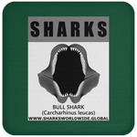 GR SRS J BULL SHARK C