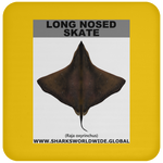 LONG NOSED SKATE C