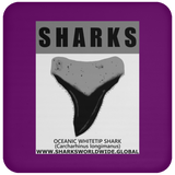 GR SRS T OCEANIC WT C