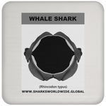 GR WHALE S J C