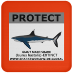 PRS GIANT MAKO V2 C