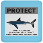 PRS GIANT MAKO V2 C