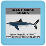SSP GIANT MAKO C
