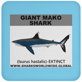 SSP GIANT MAKO C