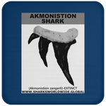 GR AKMONISTION T C