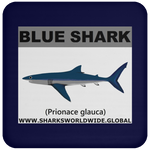 SSP BLUE SHARK C
