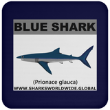 SSP BLUE SHARK C