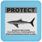 PRS BLACKTIP REEF V2 C