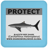 PRS BLACKTIP REEF V2 C