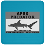 AP G HAMMERHEAD C