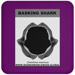GR BASKING SHARK J C