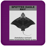 SPOTTED EAGLE RAY C