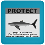 PRS BLACKTIP REEF V2 C