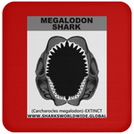 GR MEGALODON J C