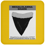 GR MEGALOLAM T C