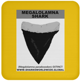 GR MEGALOLAM T C