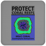 PCRS MEAT C