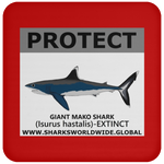 PRS GIANT MAKO V2 C