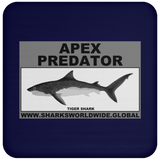 AP TIGER SHARK C